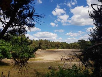 Die Verdener Dünen Die Verdener Dünen