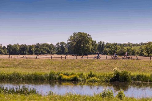 Der Aller-Radweg führt idyllisch am Allerufer entlang Der Aller-Radweg führt idyllisch am Allerufer entlang