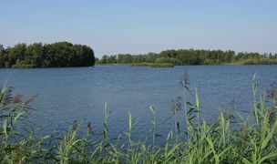 Der Hüttensee bei Winsen (Aller) Der Hüttensee bei Winsen (Aller)