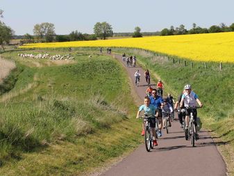 Am Aller-Elbe-Radweg bei Haldensleben Am Aller-Elbe-Radweg bei Haldensleben
