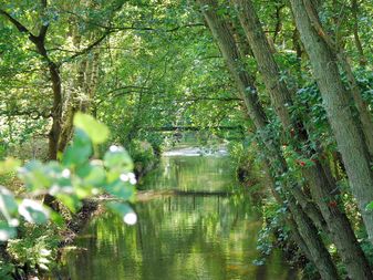 Idylle in Kirchlinteln am Moor Idylle in Kirchlinteln am Moor
